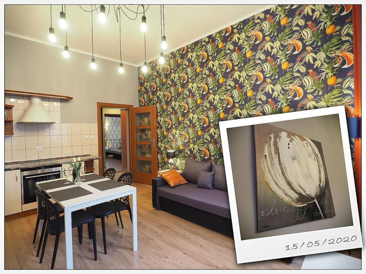 שצ'צ'ין Kghn Apartments Tkacka 11 מראה חיצוני תמונה